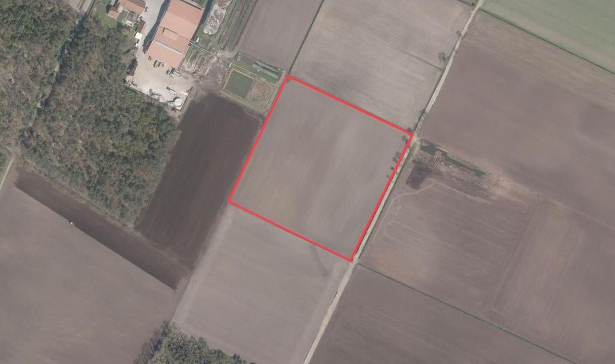 Niet bebouwbare grond te  koop in Arendonk 2370 0.00€  slaapkamers m² - Zoekertje 1364853