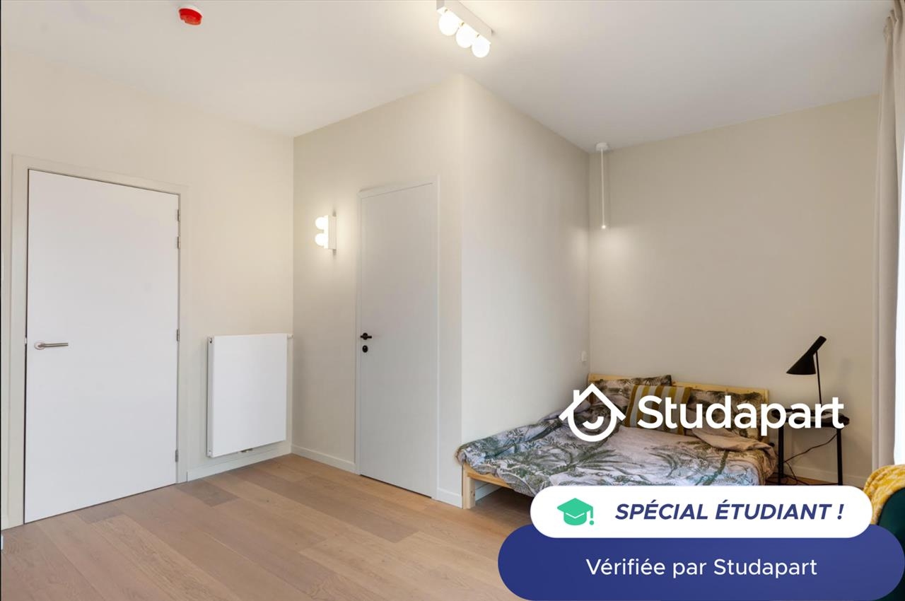 Kot te huur in Antwerpen 2000 590.00€ slaapkamers 20.00m² - Zoekertje 94628