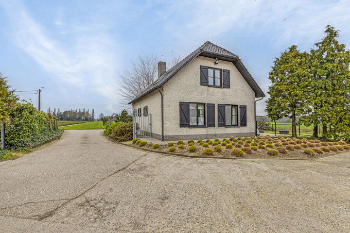 Boerderij te  koop in Ravels 2380 950000.00€ 3 slaapkamers 150.00m² - Zoekertje 278019