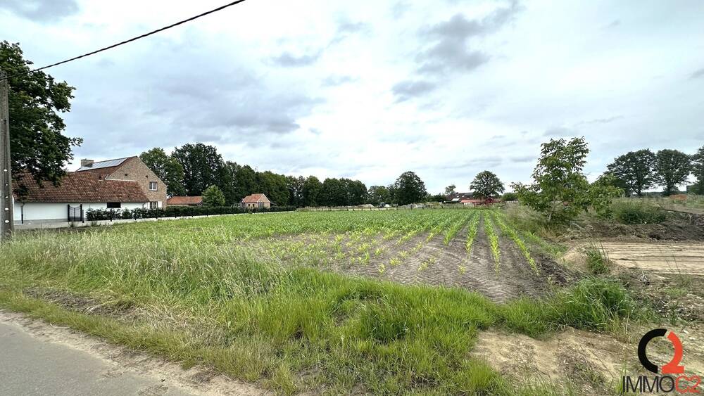 Grond te koop in Olmen 2491 195000.00€ slaapkamers m² - Zoekertje 118761
