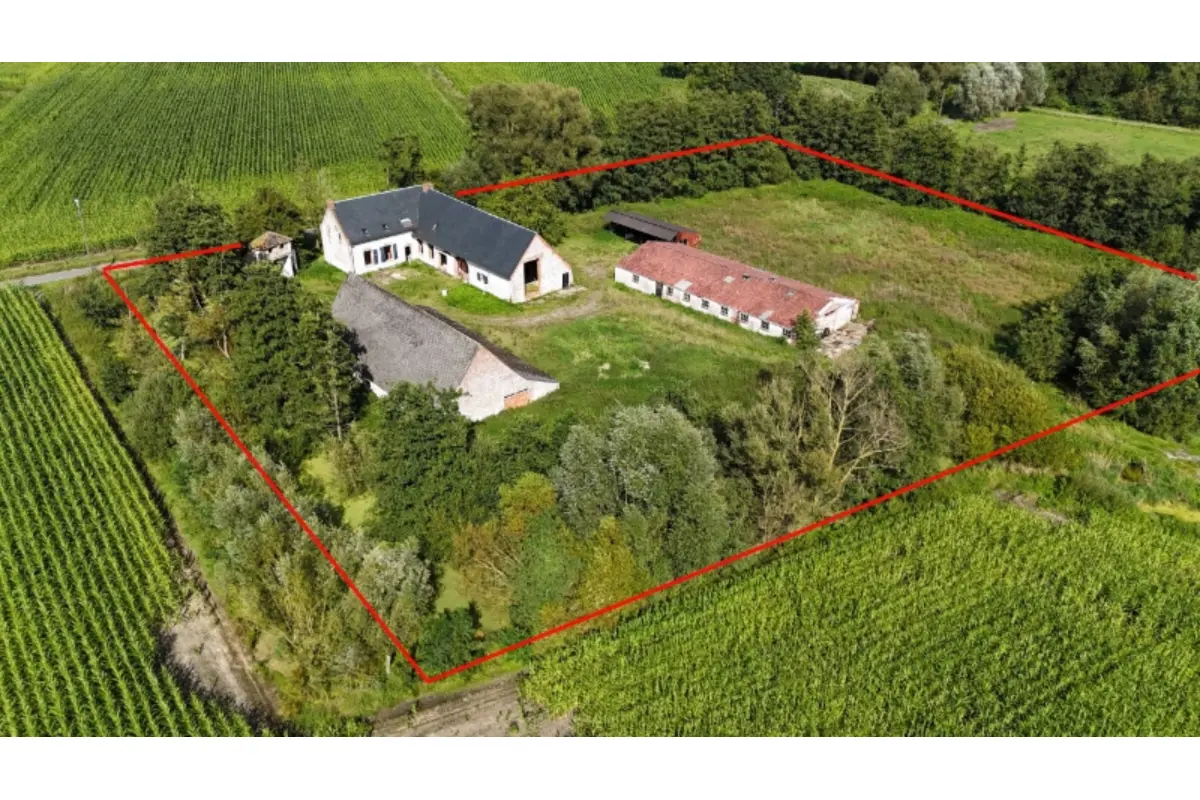 Handelszaak te  koop in Beerzel 2580 950000.00€ 5 slaapkamers 500.00m² - Zoekertje 318696