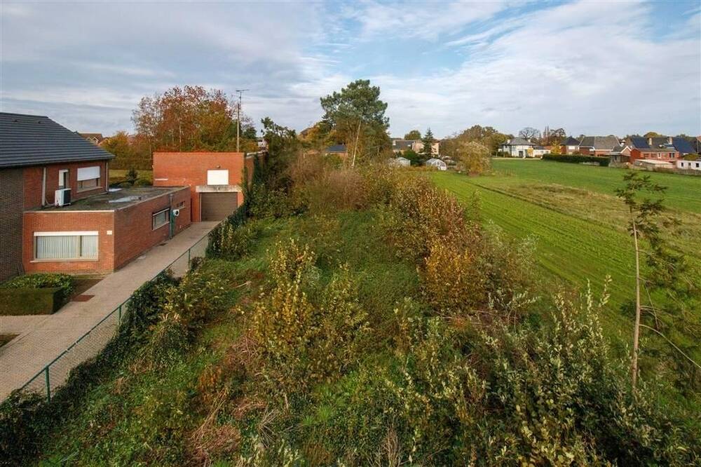 Niet bebouwbare grond te  koop in Morkhoven 2200 59000.00€  slaapkamers m² - Zoekertje 353802