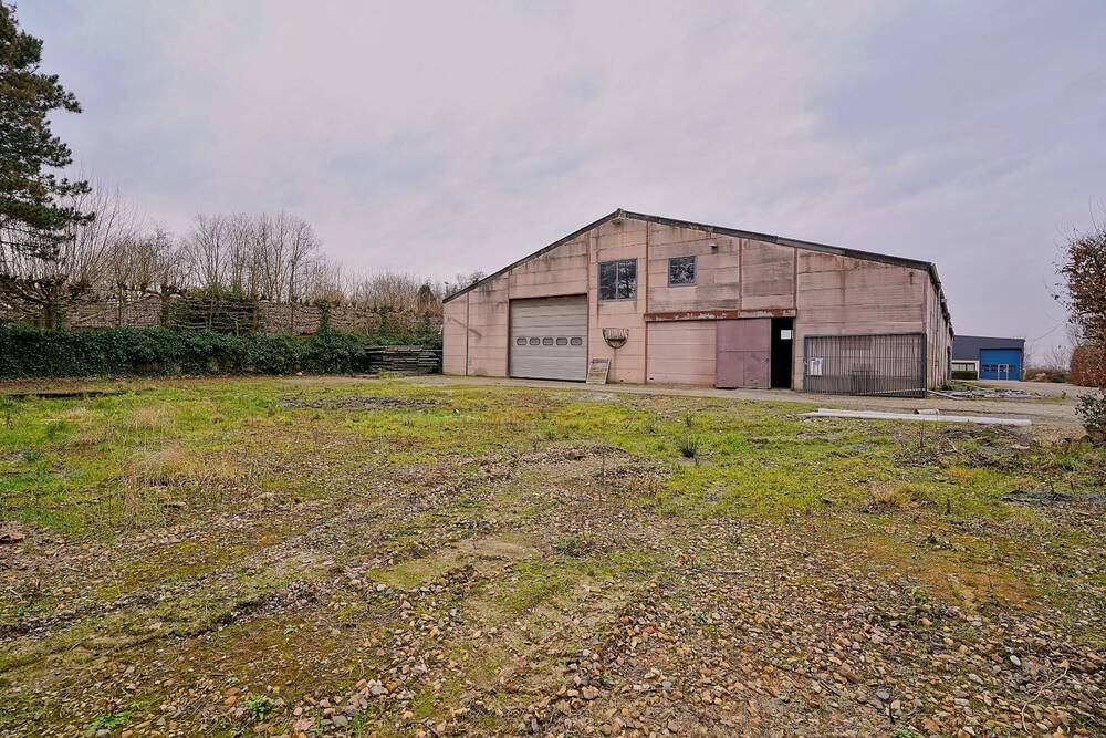 Handelszaak te koop in Kontich 2550 200000.00€ slaapkamers 1000.00m² - Zoekertje 388146