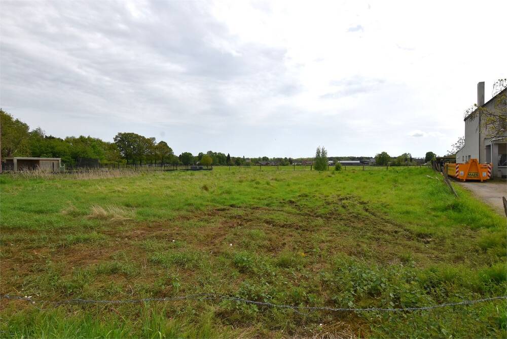 Grond te koop in Laakdal 2430 175000.00€ slaapkamers m² - Zoekertje 413978