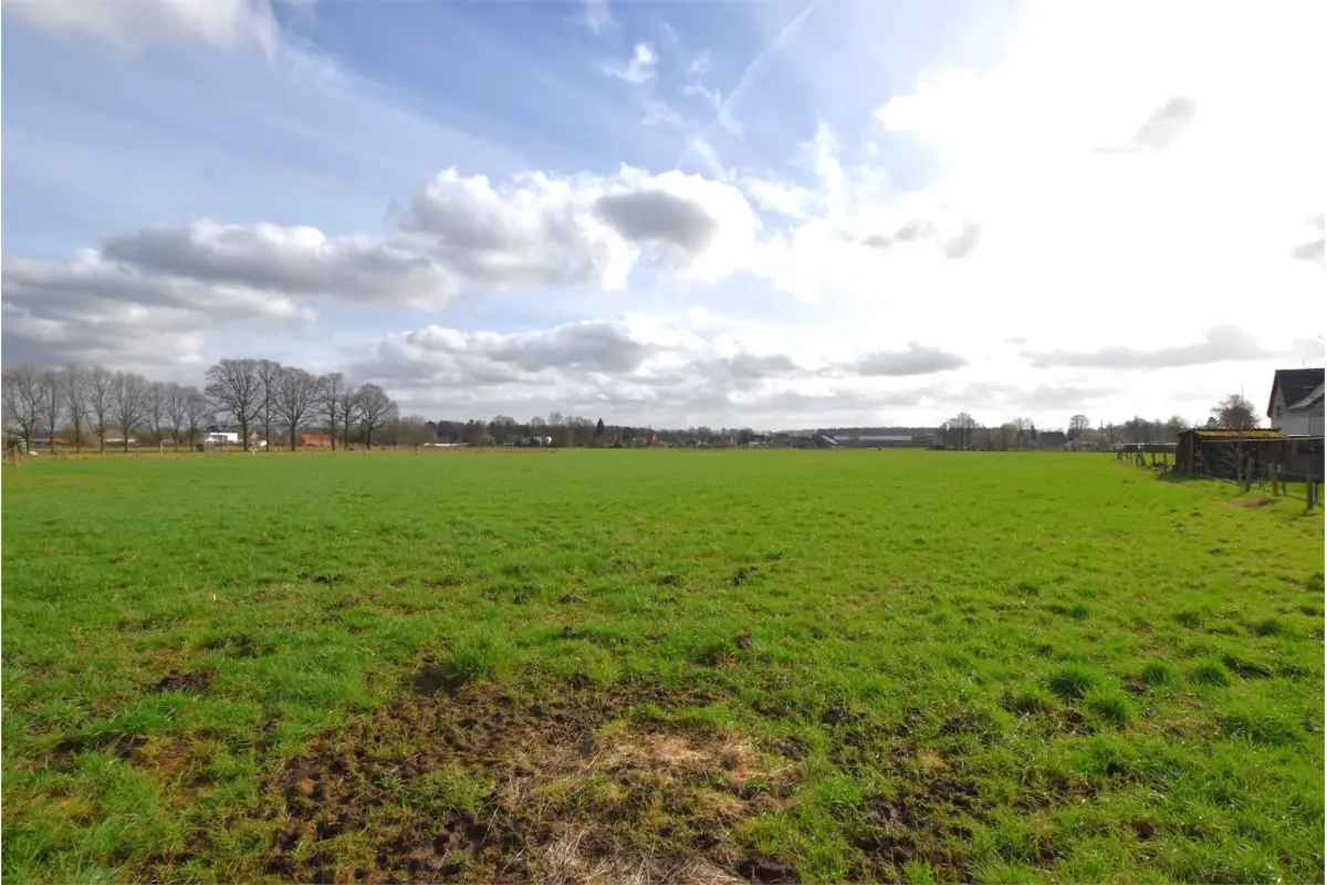 Grond te  koop in Laakdal 2430 175000.00€  slaapkamers m² - Zoekertje 413978