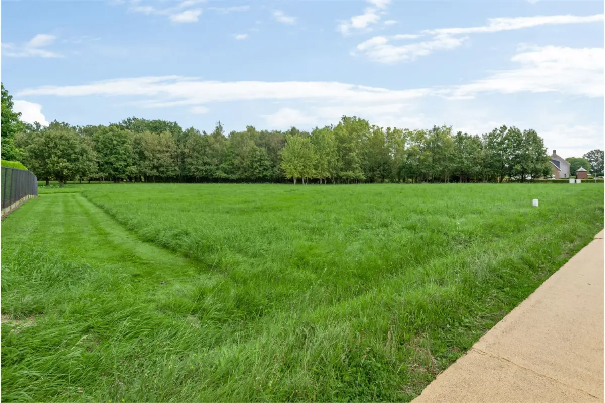 Grond te  koop in Westerlo 2260 245000.00€  slaapkamers m² - Zoekertje 413580