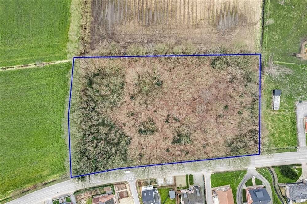 Grond te  koop in Onze-Lieve-Vrouw-Waver 2861 50000.00€  slaapkamers m² - Zoekertje 417626