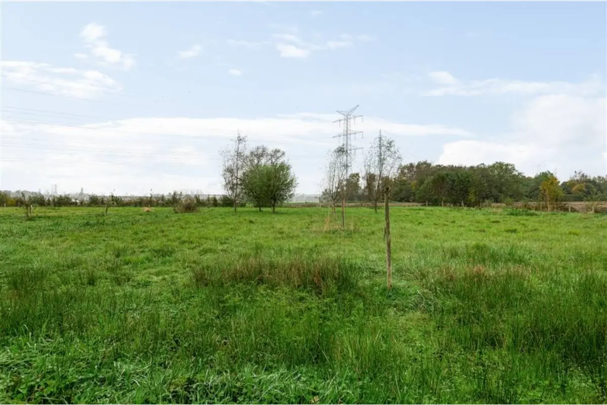 Grond te  koop in Kontich 2550 129000.00€  slaapkamers m² - Zoekertje 616639