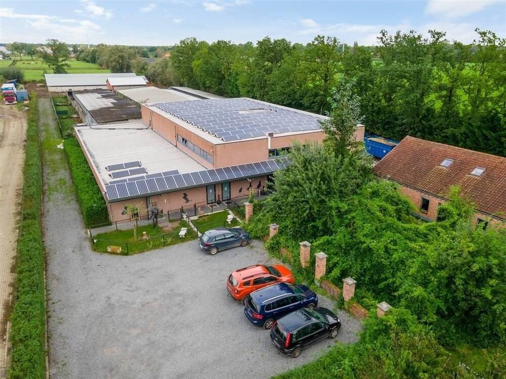 Handelszaak te  huur in Kasterlee 2460 6500.00€  slaapkamers 203.00m² - Zoekertje 431641