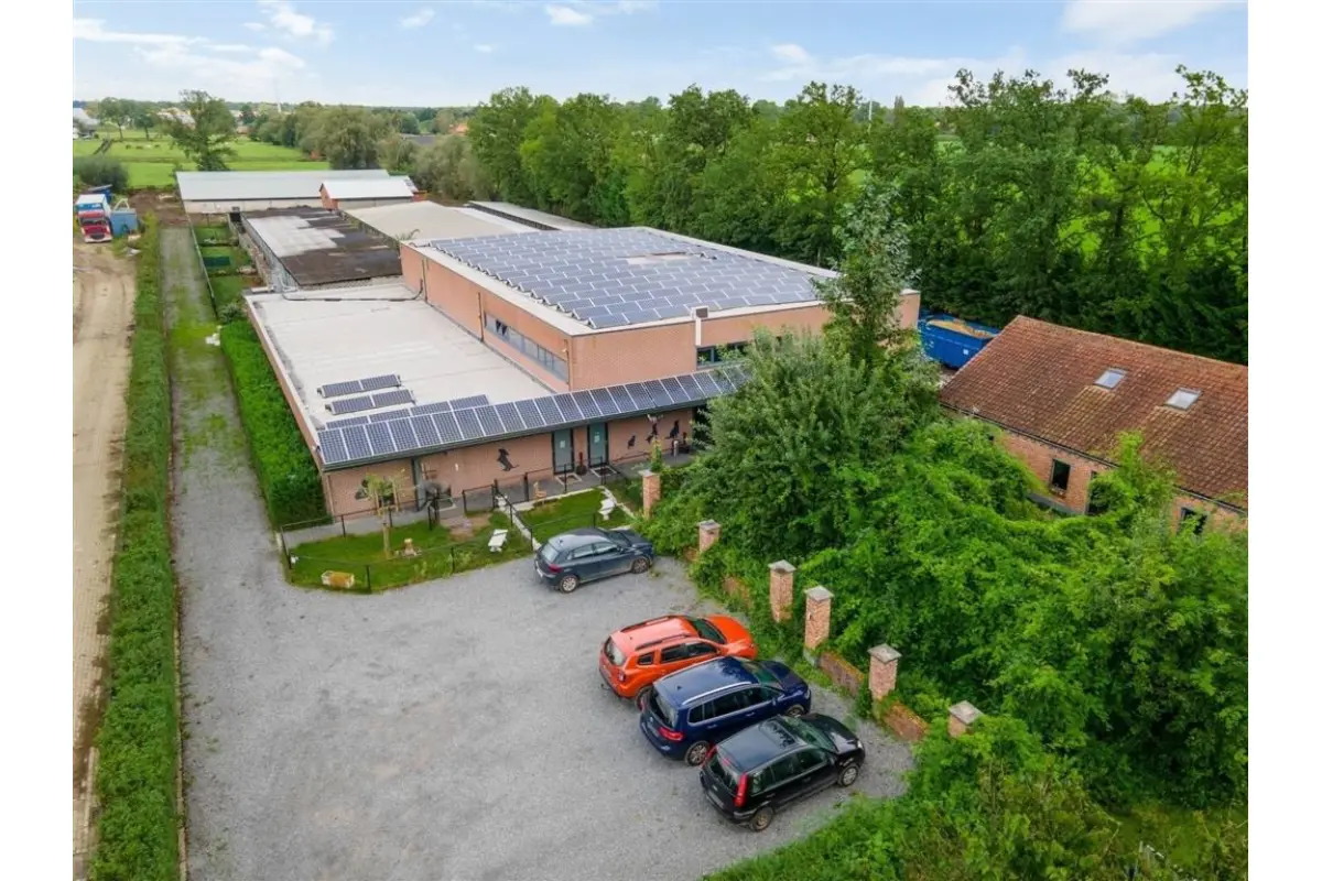 Handelszaak te  huur in Kasterlee 2460 6500.00€  slaapkamers 203.00m² - Zoekertje 431641