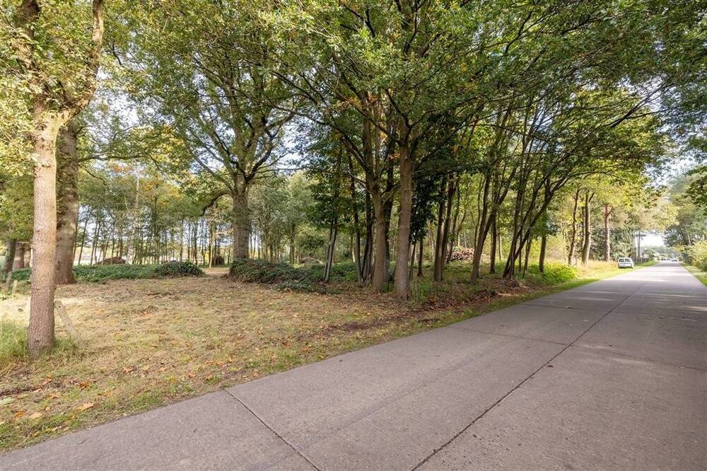 Grond te koop in Wechelderzande 2275 26000.00€ slaapkamers m² - Zoekertje 431551