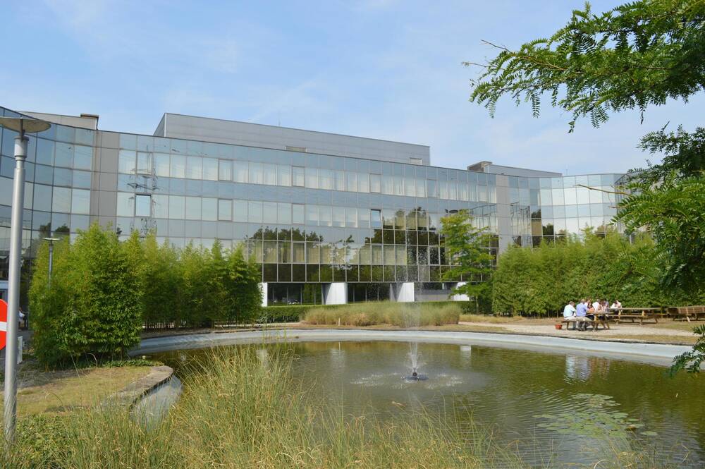 Handelszaak te huur in Zwijndrecht 2070 5344.00€ slaapkamers 475.00m² - Zoekertje 432968