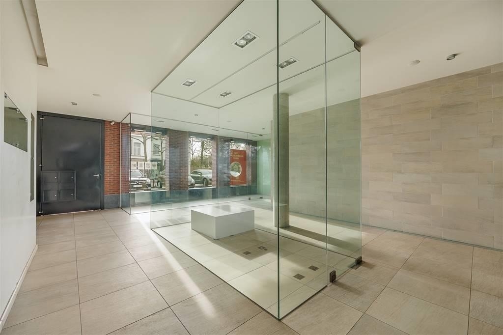 Handelszaak te  huur in Hoogstraten 2320 4800.00€  slaapkamers m² - Zoekertje 438115
