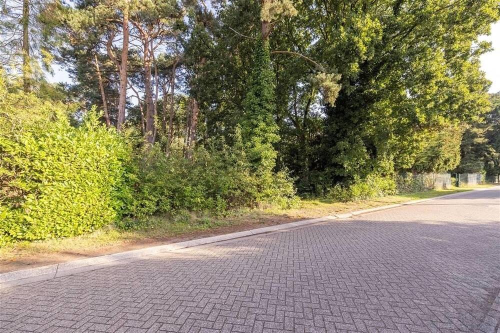 Grond te koop in Wechelderzande 2275 199000.00€ slaapkamers m² - Zoekertje 439568