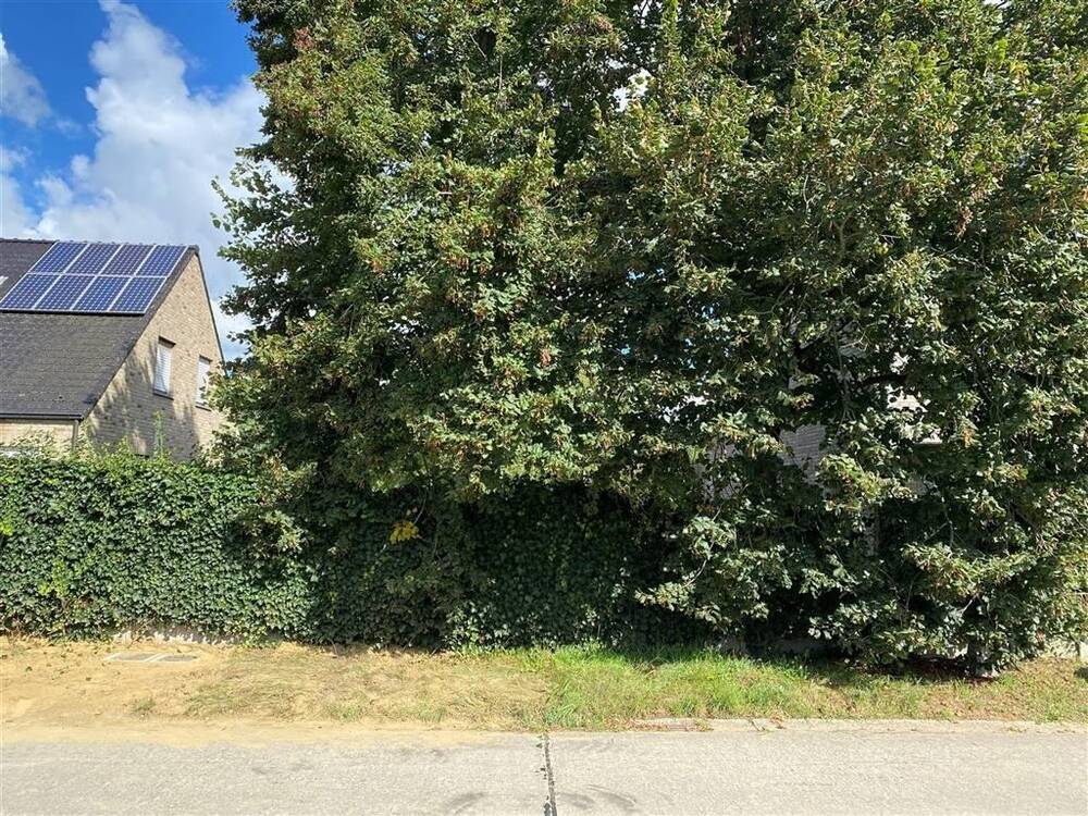 Grond te koop in Westerlo 2260 169000.00€ slaapkamers m² - Zoekertje 439990