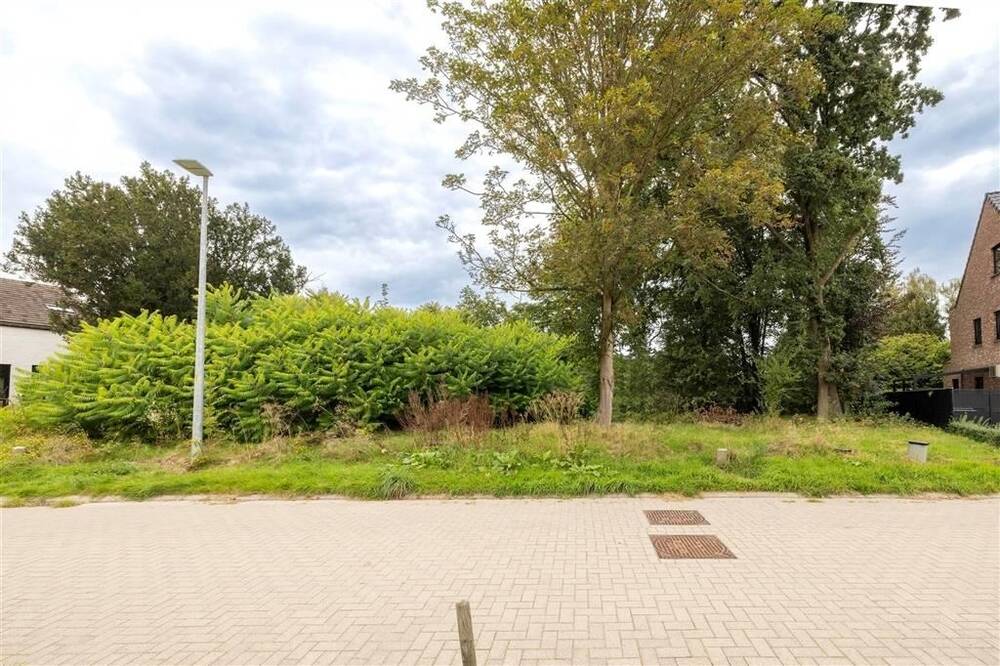 Grond te koop in Berlaar 2590 136000.00€ slaapkamers m² - Zoekertje 440490