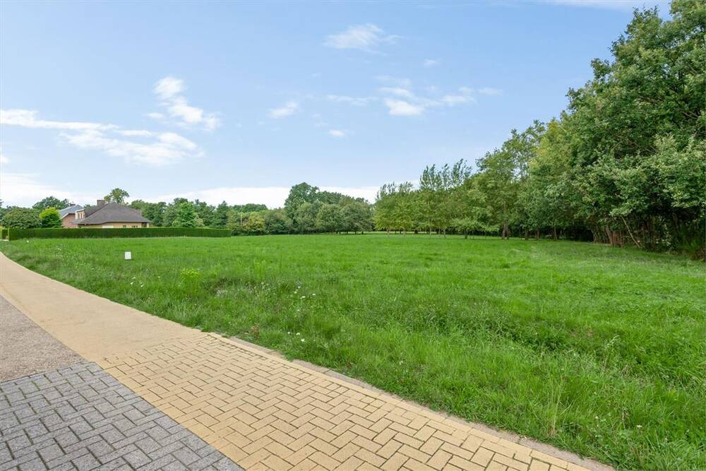 Grond te koop in Westerlo 2260 209000.00€ slaapkamers m² - Zoekertje 444963
