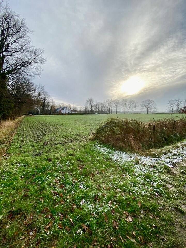 Handelszaak te  koop in Antwerpen 2040 515000.00€  slaapkamers m² - Zoekertje 447497