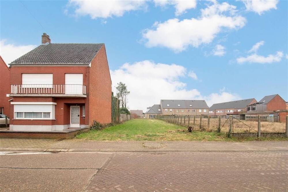 Grond te koop in Westerlo 2260 155000.00€ slaapkamers m² - Zoekertje 455532