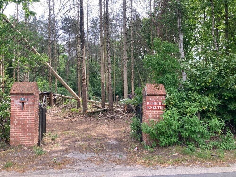 Grond te  koop in Gierle 2275 85000.00€  slaapkamers m² - Zoekertje 455609