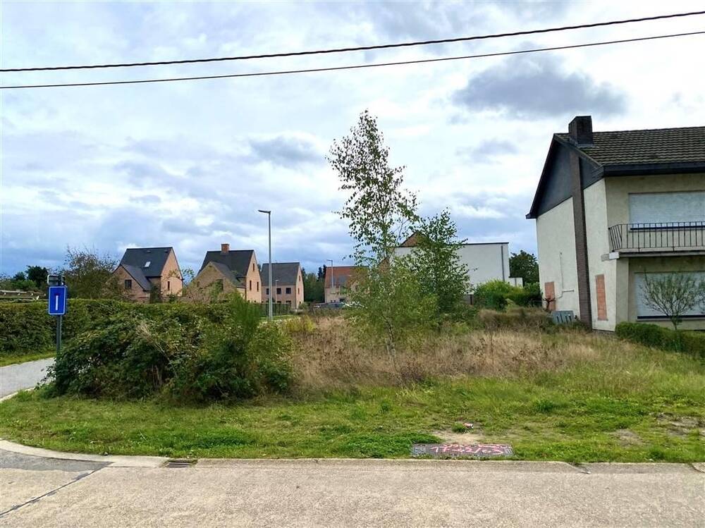 Grond te koop in Westerlo 2260 148000.00€ slaapkamers m² - Zoekertje 460494