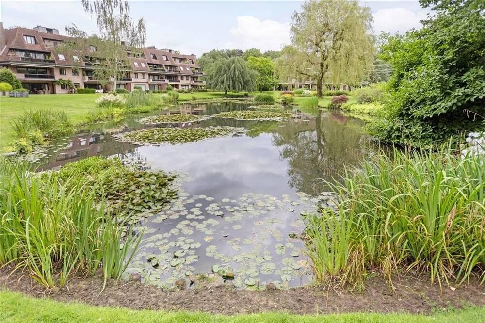 Duplex te in Schoten 2900 490000.00€ 3 slaapkamers 225.00m² - Zoekertje 473282