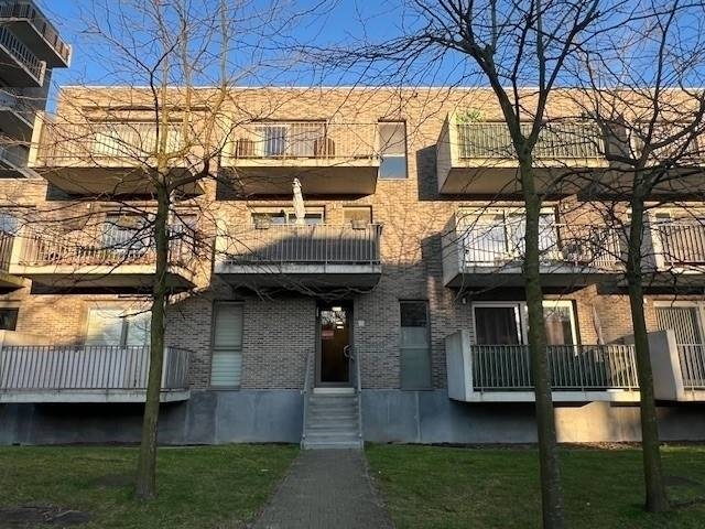 Appartement te koop in Hoboken 2660 189000.00€ 1 slaapkamers 56.00m² - Zoekertje 472860