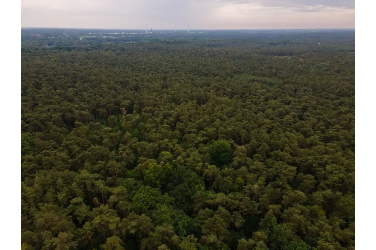 Grond te  koop in Kasterlee 2460 10000.00€  slaapkamers m² - Zoekertje 474908