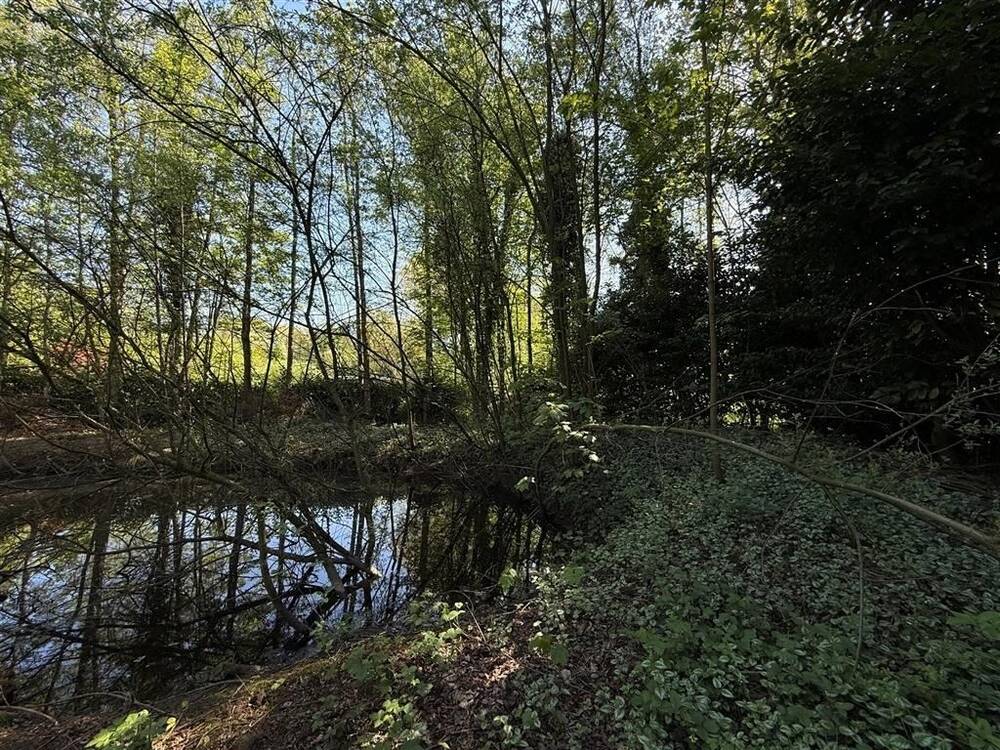 Grond te koop in Zoersel 2980 100000.00€ slaapkamers m² - Zoekertje 484351