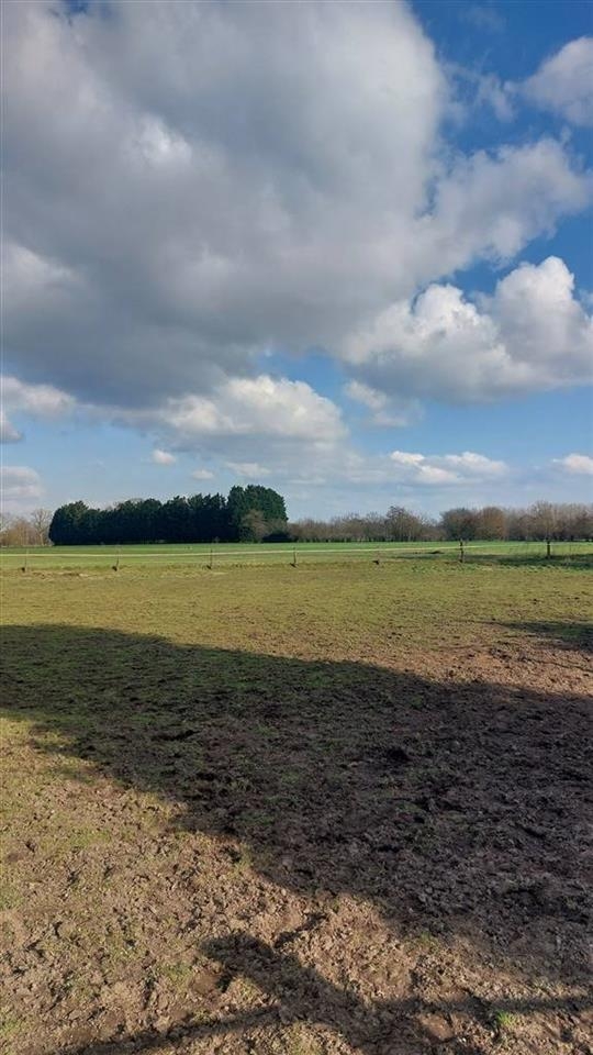 Grond te koop in Vlimmeren 2340 249000.00€ slaapkamers m² - Zoekertje 484861