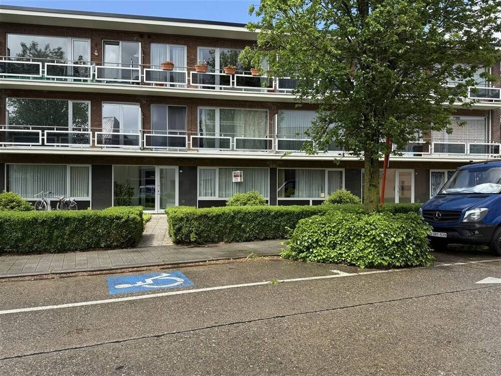 Appartement te huur in Turnhout 2300 800.00€ 1 slaapkamers m² - Zoekertje 492712