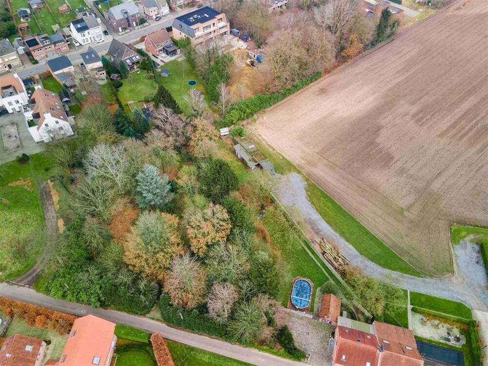 Bouwgrond te koop in Oelegem 2520 725000.00€ slaapkamers m² - Zoekertje 500835