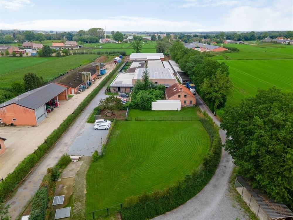 Handelszaak te koop in Kasterlee 2460 995000.00€ slaapkamers 203.00m² - Zoekertje 501134