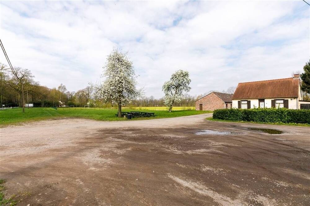 Huis te koop in Mol 2400 495000.00€ 3 slaapkamers 143.00m² - Zoekertje 499283