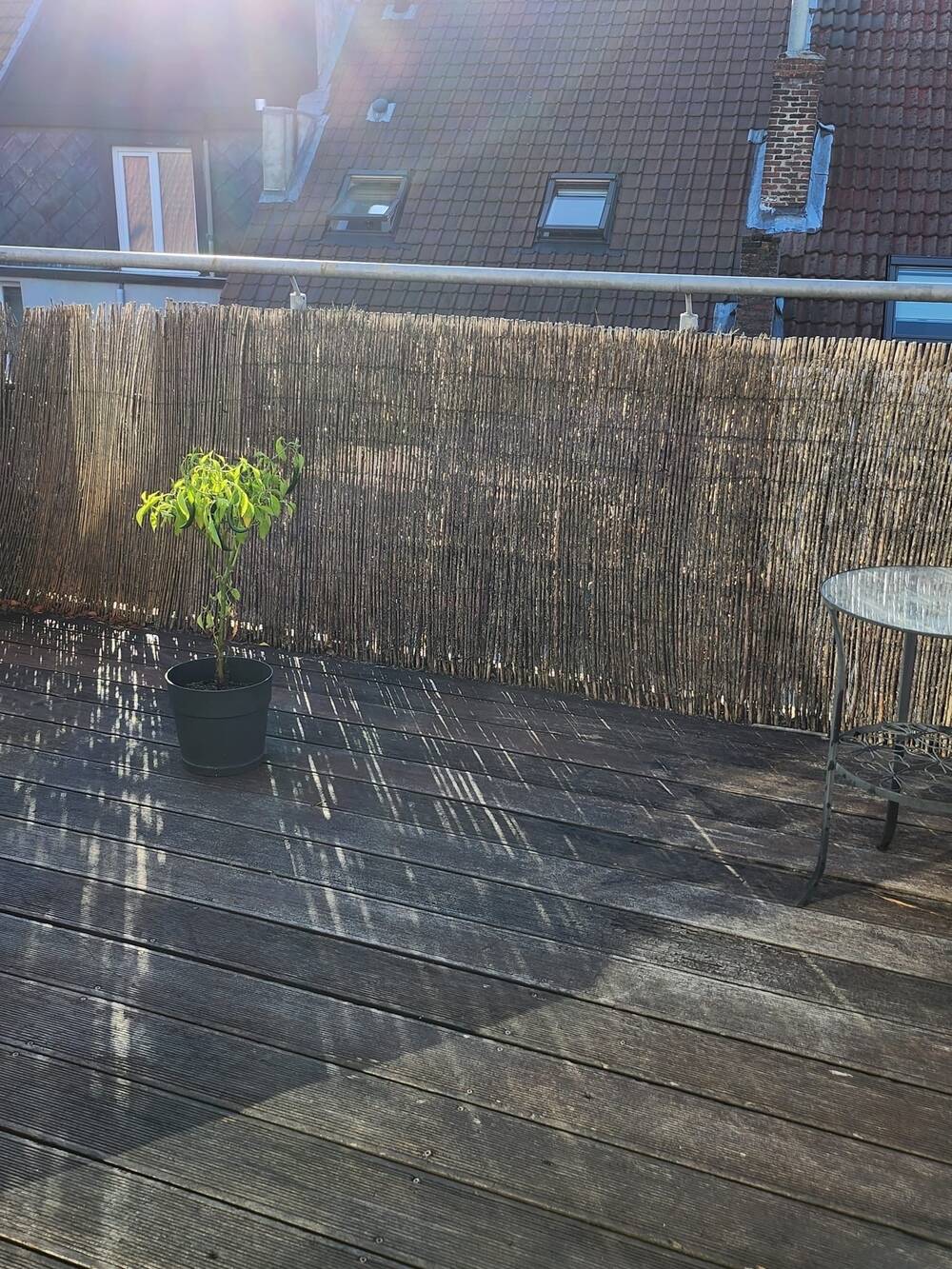 Penthouse te  koop in Antwerpen 2060 310000.00€ 1 slaapkamers 79.00m² - Zoekertje 498880