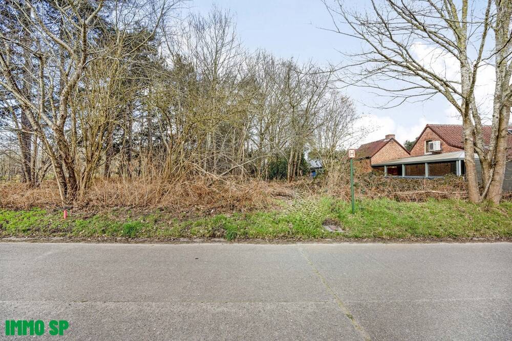Grond te koop in Westerlo 2260 175000.00€ slaapkamers m² - Zoekertje 499013