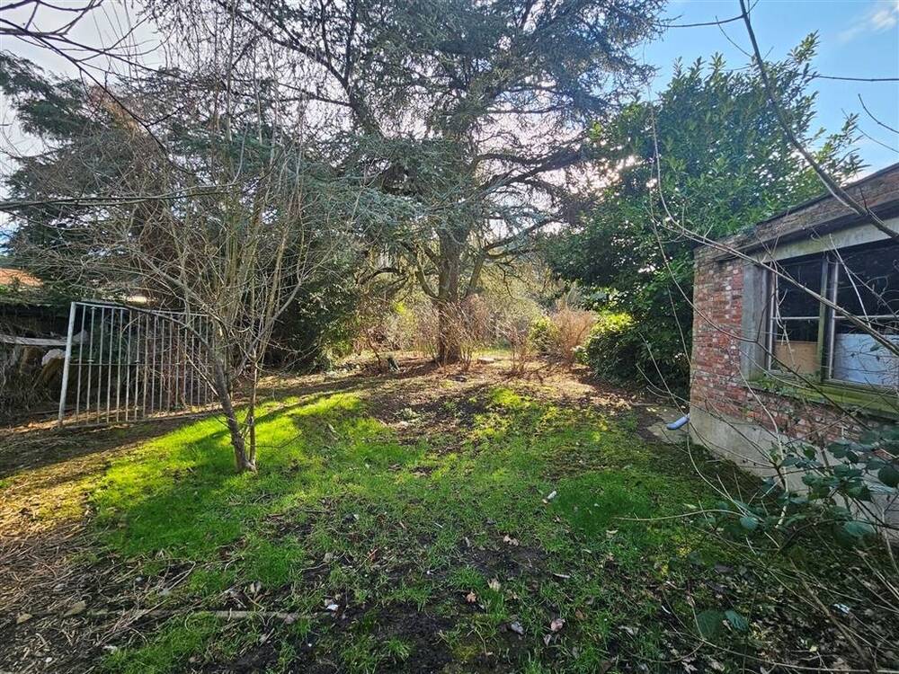 Huis te koop in Burcht 2070 259000.00€ 3 slaapkamers 293.00m² - Zoekertje 495143