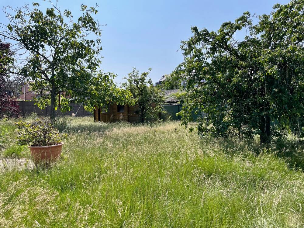 Grond te koop in Bornem 2880 269000.00€ slaapkamers m² - Zoekertje 495134