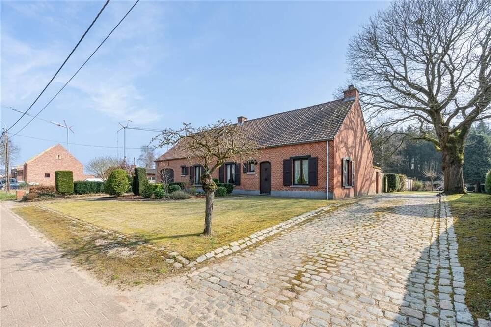 Huis te koop in Balen 2490 449000.00€ 4 slaapkamers 204.00m² - Zoekertje 508893