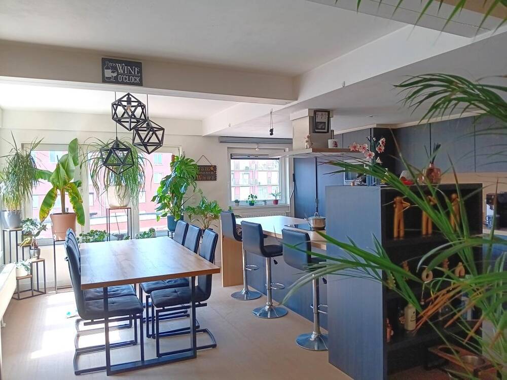 Appartement te huur in Schoten 2900 995.00€ 2 slaapkamers 90.00m² - Zoekertje 513566