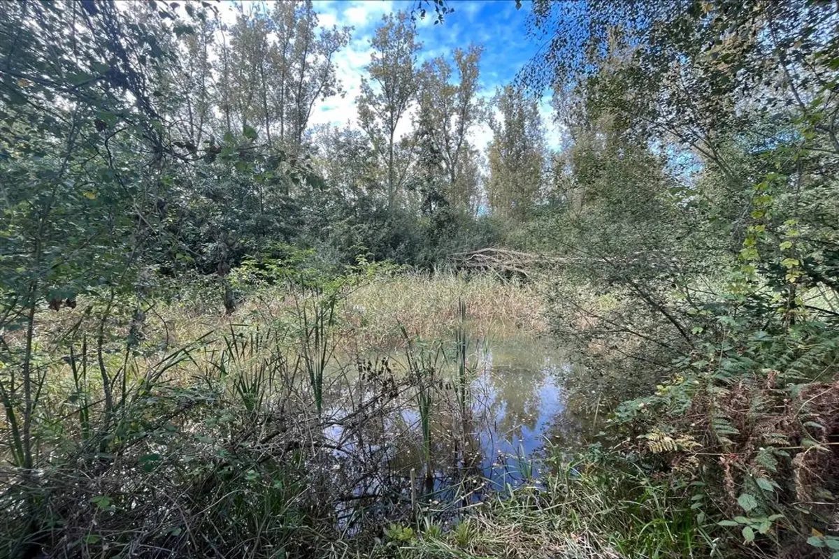 Niet bebouwbare grond te  koop in Zandhoven 2240 80000.00€  slaapkamers m² - Zoekertje 514698