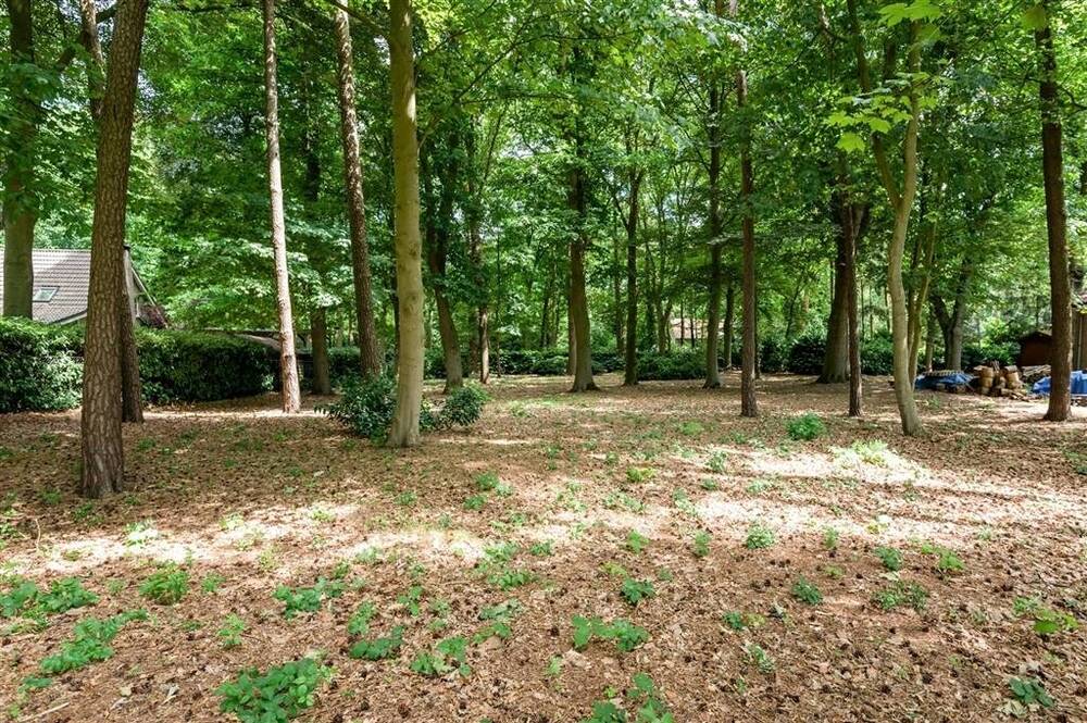 Grond te koop in Essen 2910 199000.00€ slaapkamers m² - Zoekertje 515457