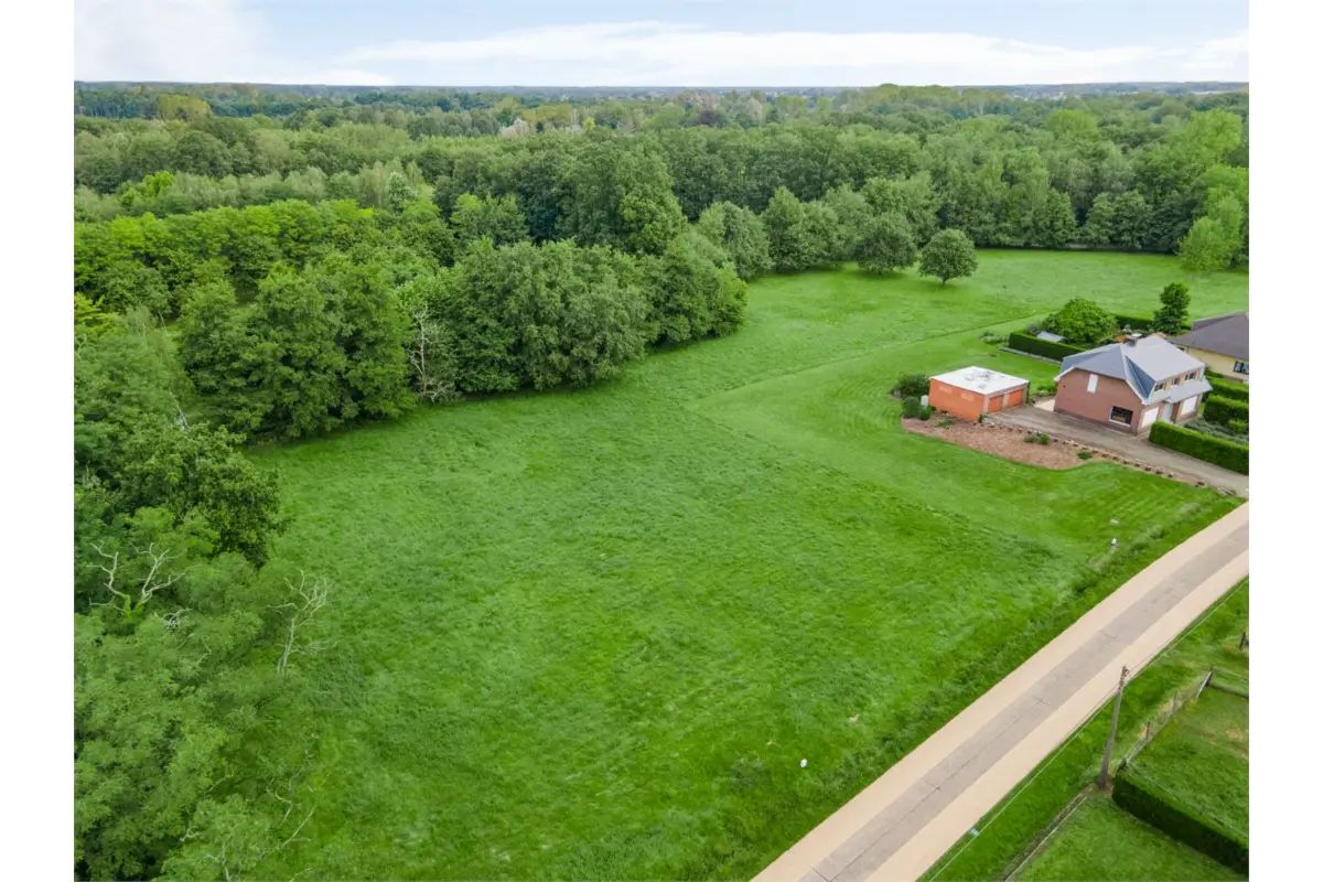 Grond te  koop in Westerlo 2260 249000.00€  slaapkamers m² - Zoekertje 528544