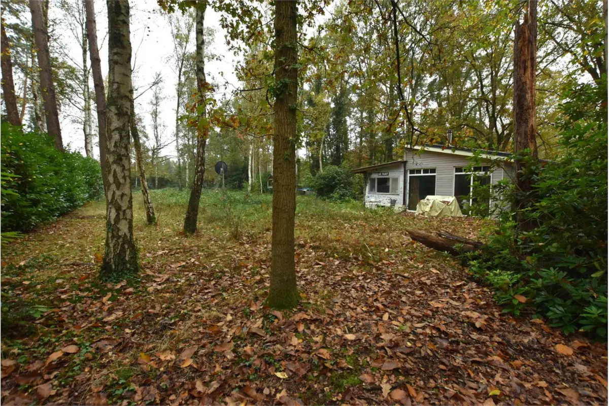 Bungalow te  koop in Herselt 2230 199000.00€ 2 slaapkamers 73.00m² - Zoekertje 528550