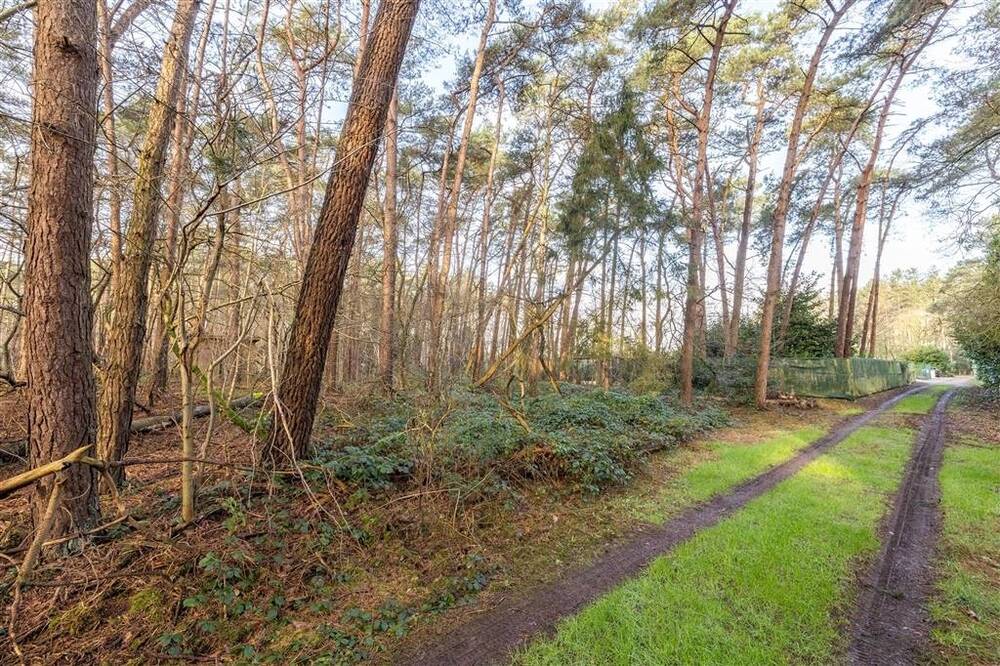 Niet bebouwbare grond te  koop in Vorselaar 2290 50000.00€  slaapkamers m² - Zoekertje 536079