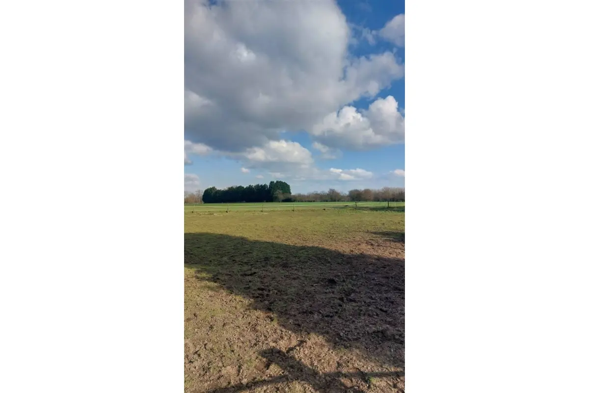 Grond te  koop in Vlimmeren 2340 239000.00€  slaapkamers m² - Zoekertje 538699