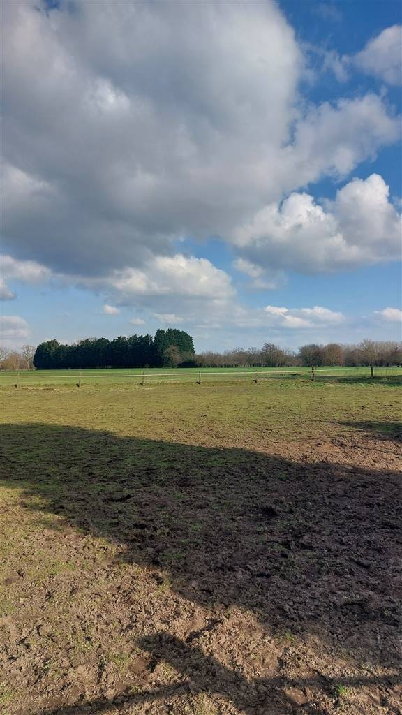 Grond te koop in Vlimmeren 2340 239000.00€ slaapkamers m² - Zoekertje 538699