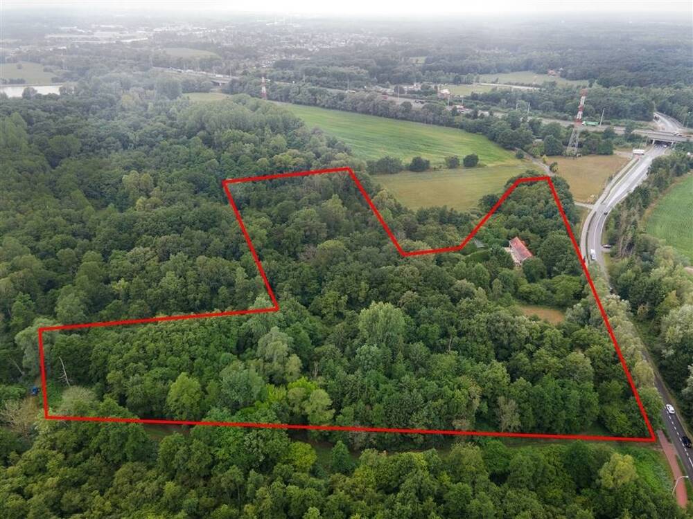 Huis te koop in Oelegem 2520 799000.00€ 6 slaapkamers 414.00m² - Zoekertje 542851