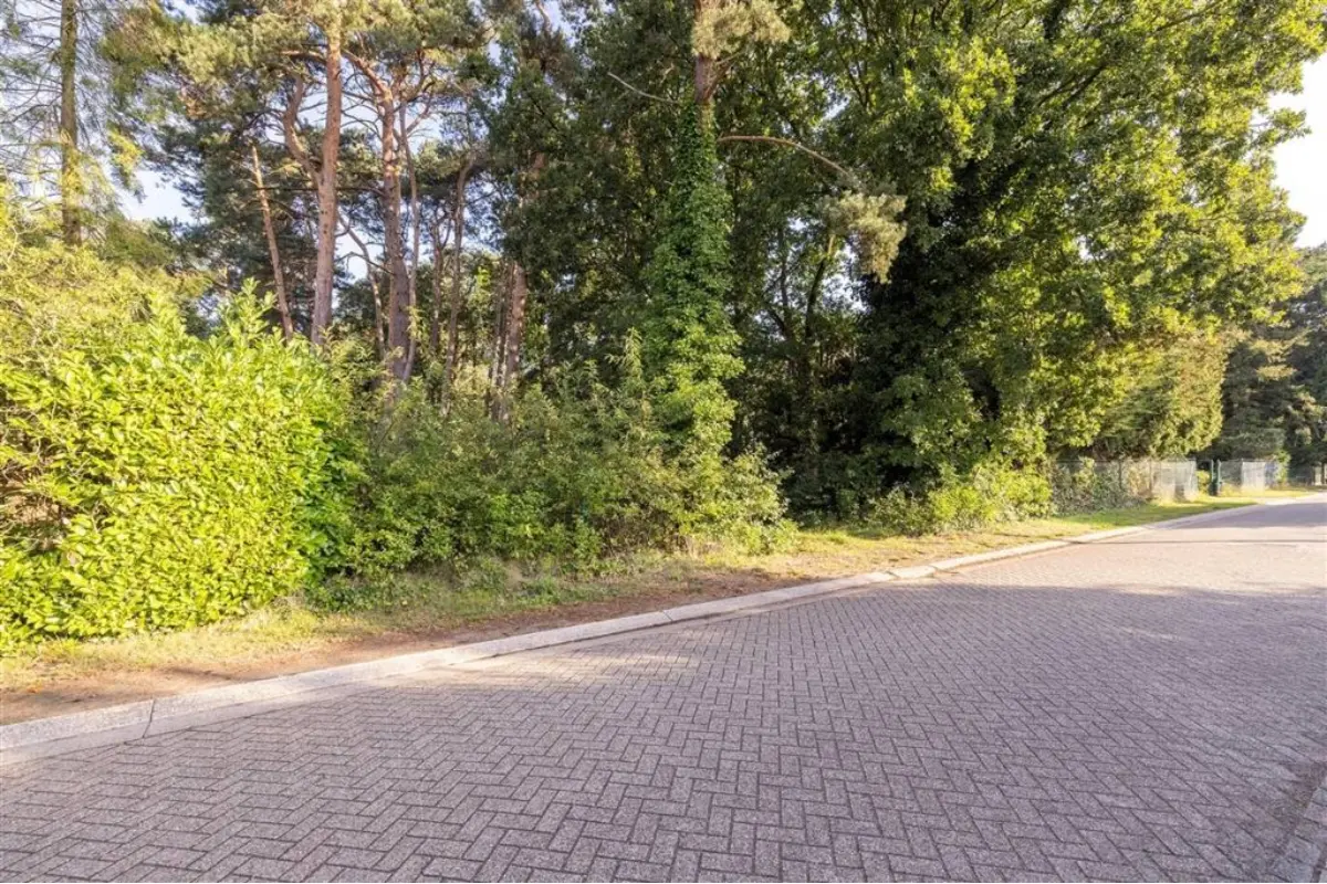 Grond te  koop in Wechelderzande 2275 199000.00€  slaapkamers m² - Zoekertje 544890