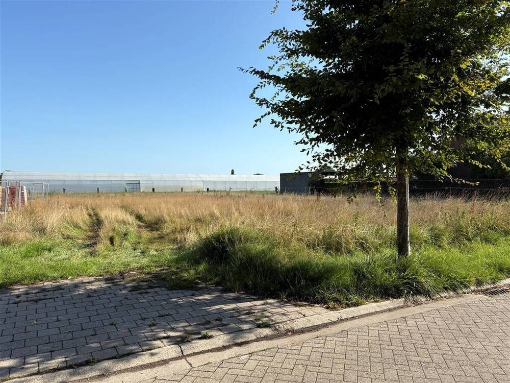 Grond te koop in Malle 2390 259900.00€ slaapkamers m² - Zoekertje 547245